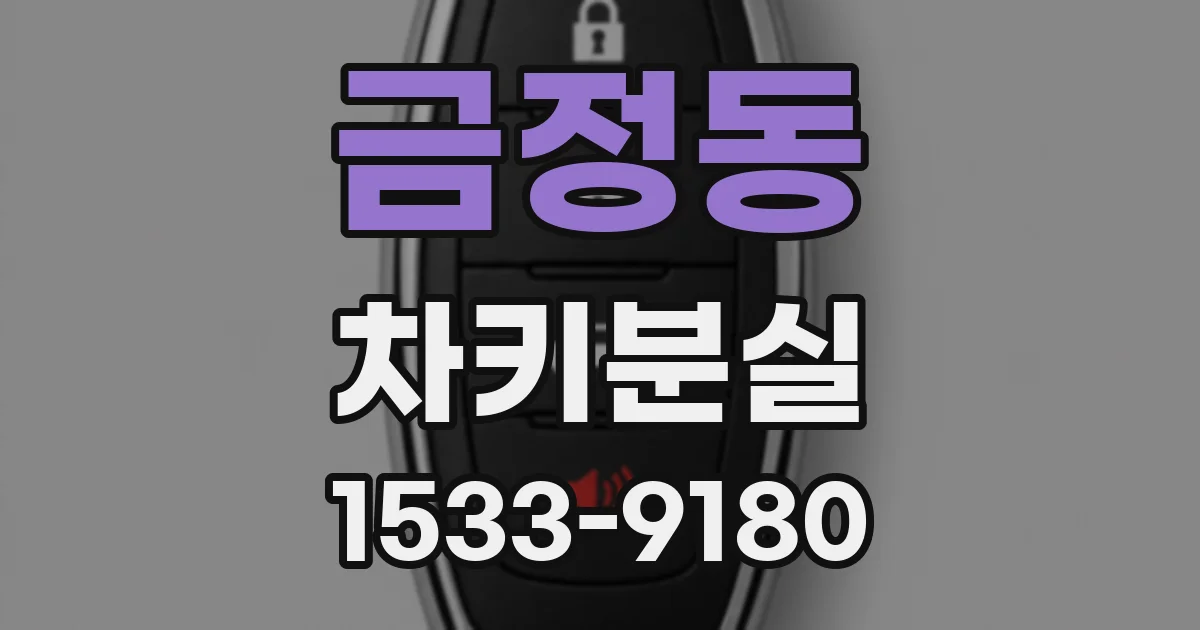 금정동 차키분실