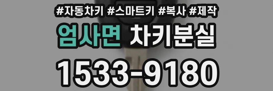 엄사면 차키분실