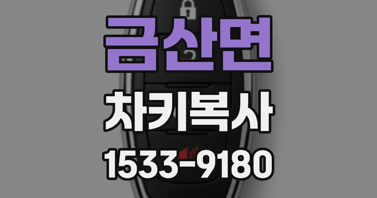 금산면 차키복사