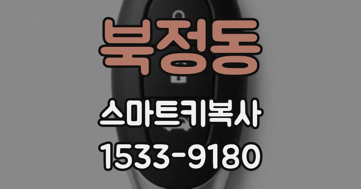 북정동 스마트키복사