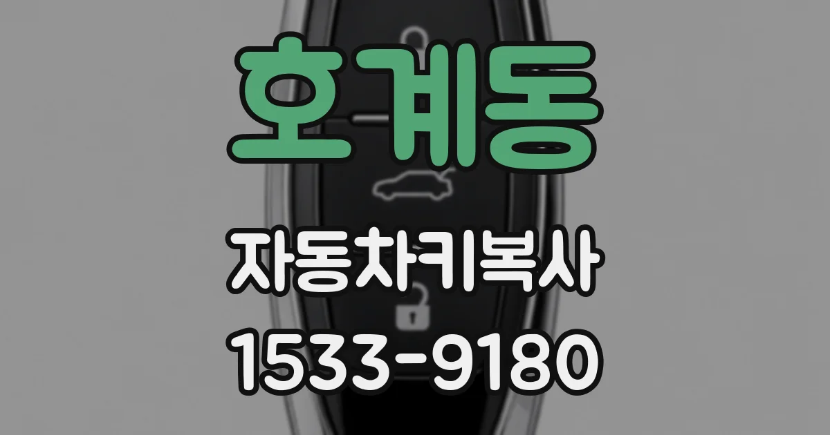 호계동 자동차키복사