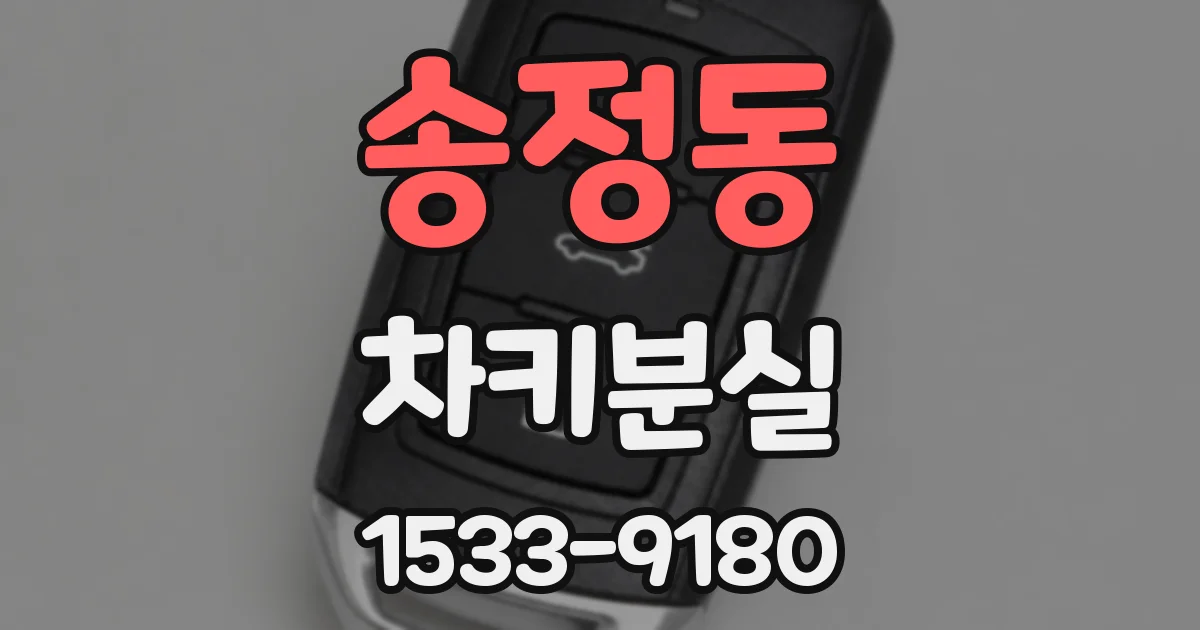 송정동 차키분실
