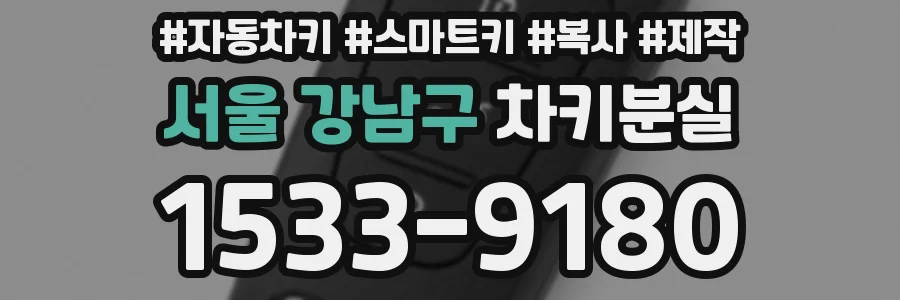 서울 강남구 차키분실