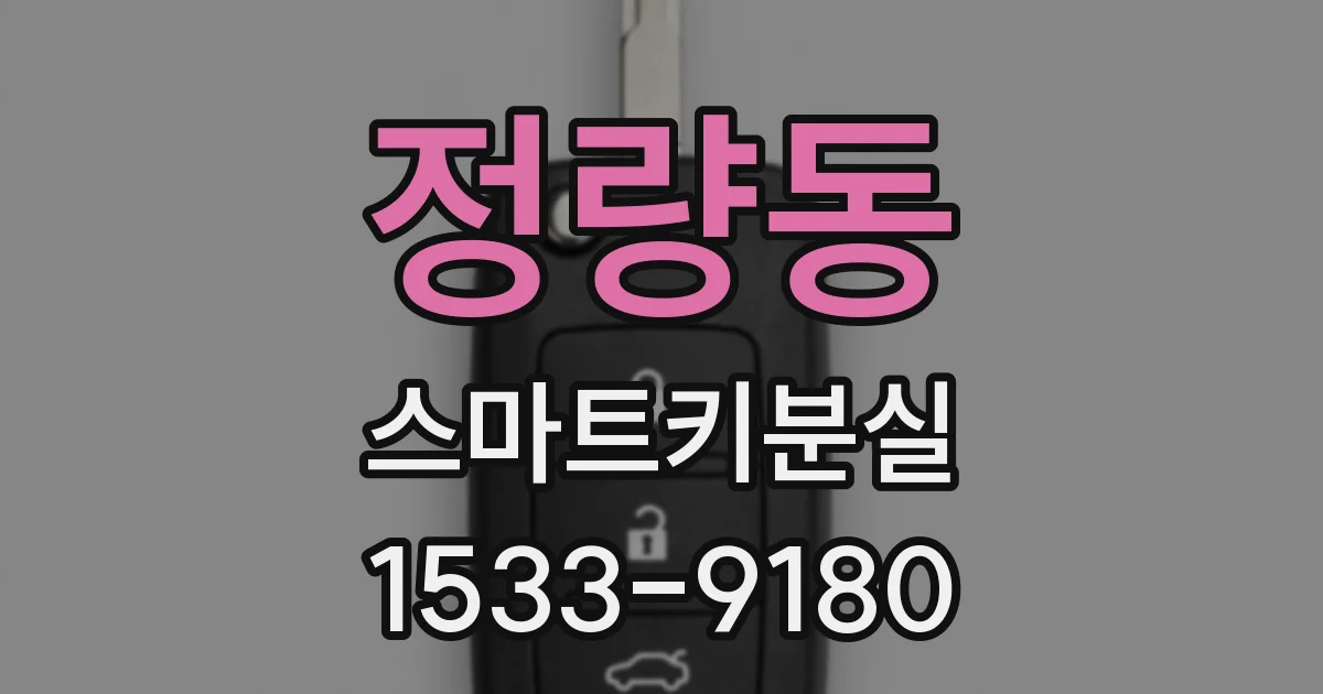 정량동 스마트키분실