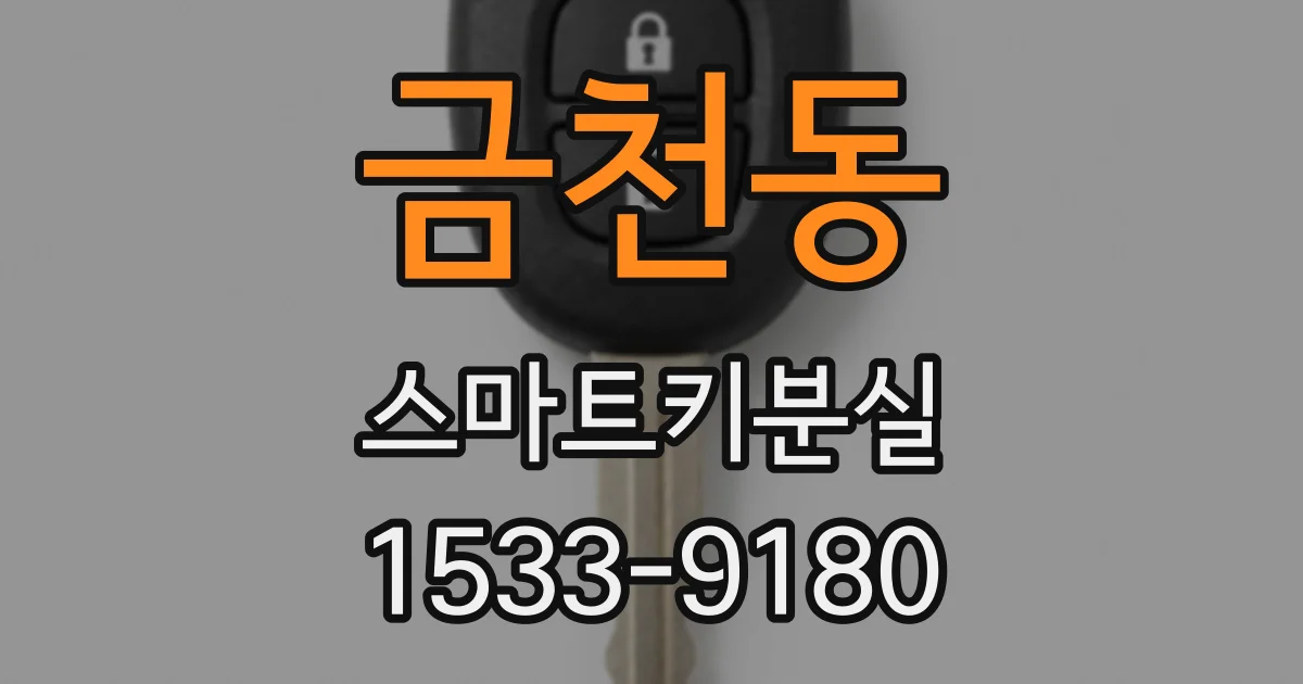 금천동 스마트키분실