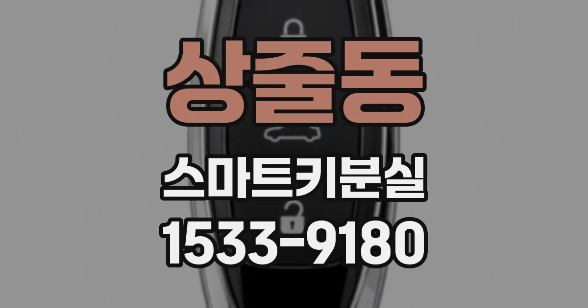 상줄동 스마트키분실