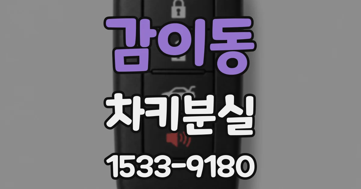 감이동 차키분실