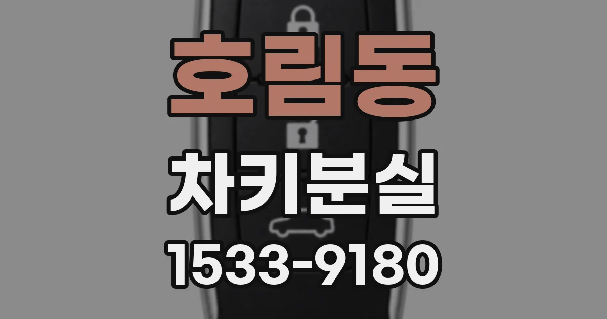 호림동 차키분실