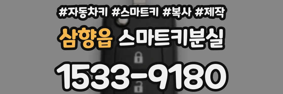 삼향읍 스마트키분실