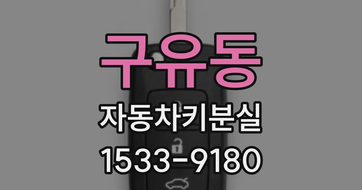 구유동 자동차키분실