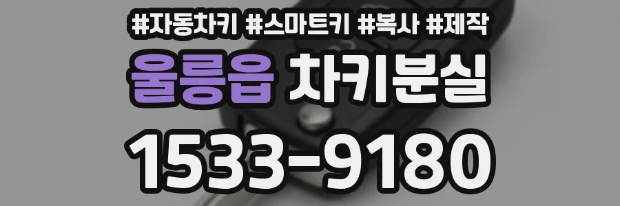 울릉읍 차키분실