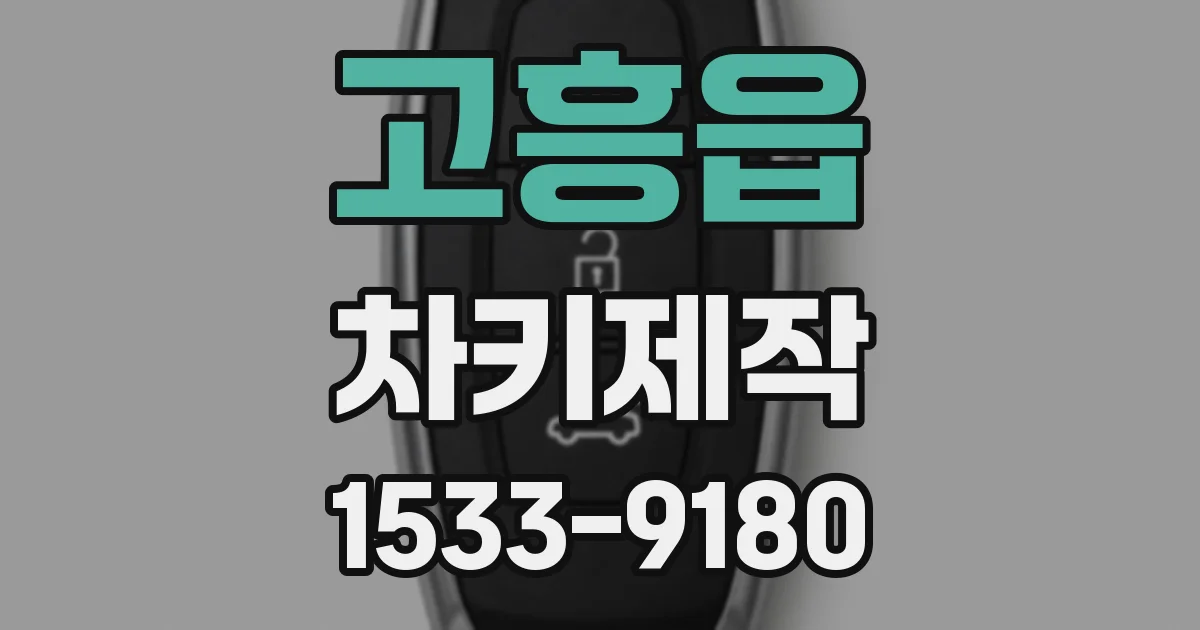 고흥읍 차키제작
