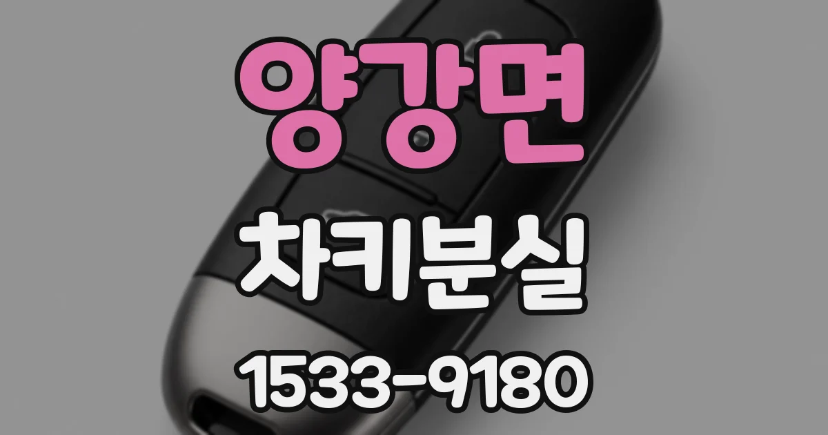 양강면 차키분실