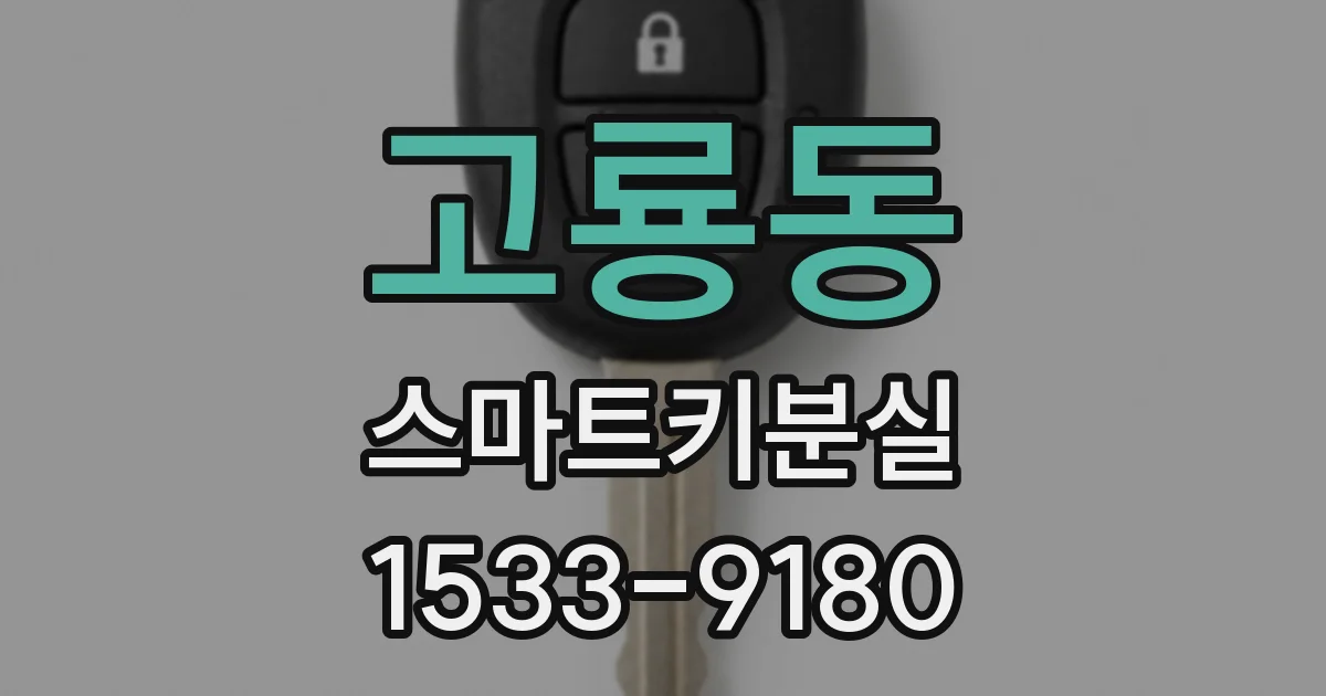 고룡동 스마트키분실