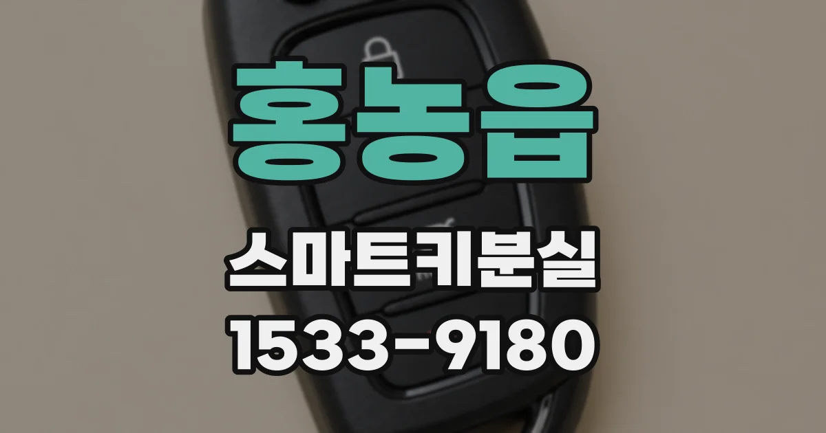 홍농읍 스마트키분실