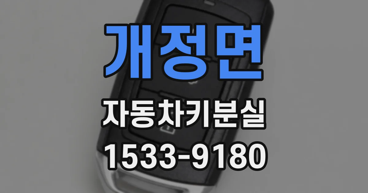 개정면 자동차키분실