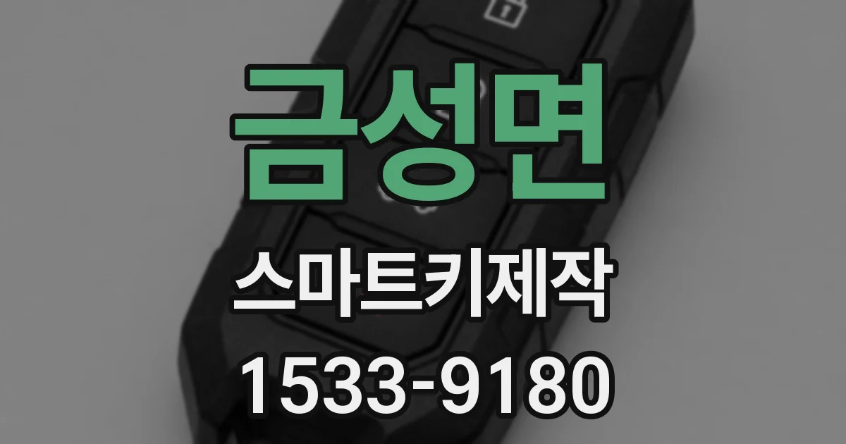 금성면 스마트키제작