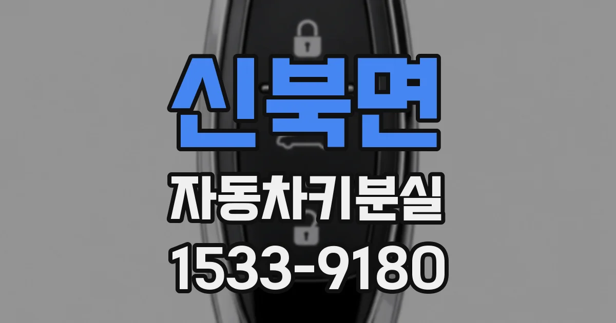 신북면 자동차키분실