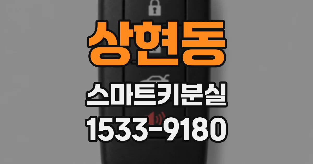 상현동 스마트키분실