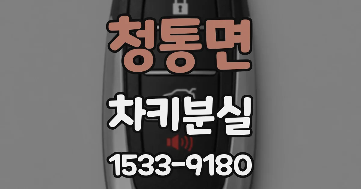 청통면 차키분실