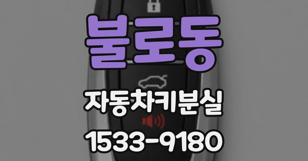 불로동 자동차키분실