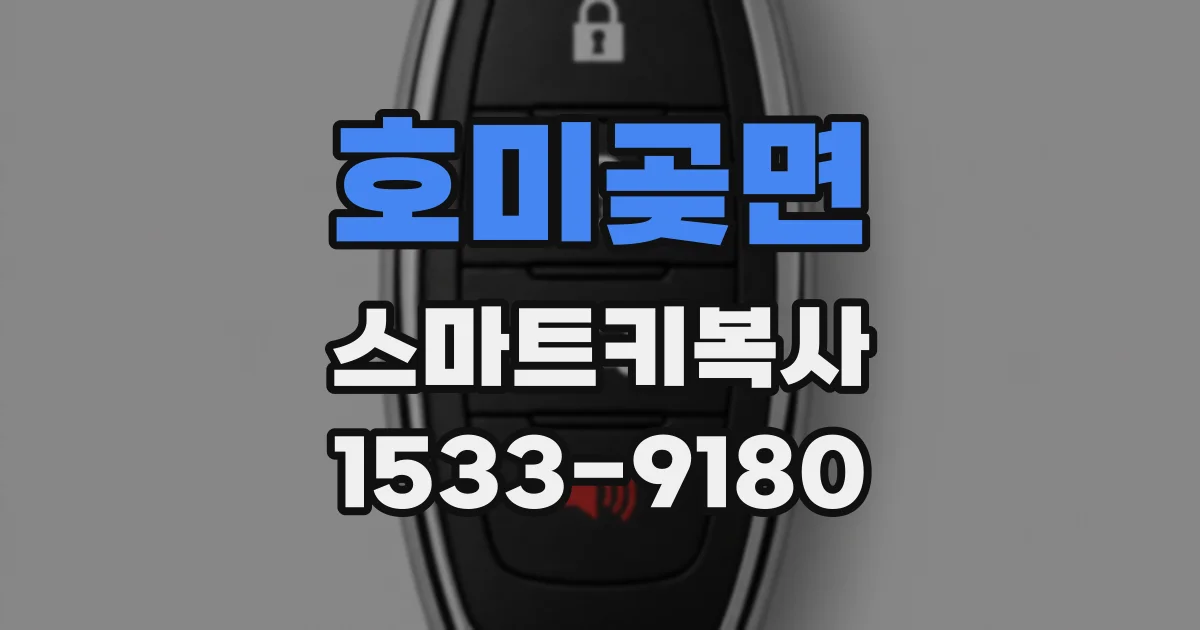 호미곶면 스마트키복사