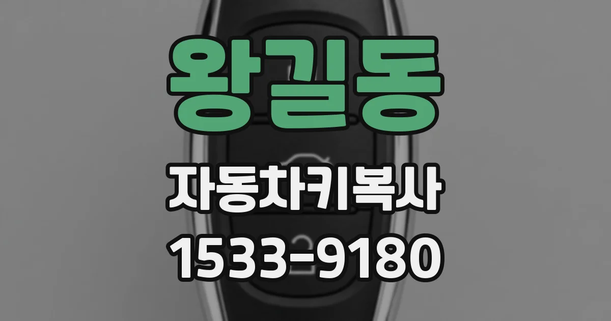 왕길동 자동차키복사