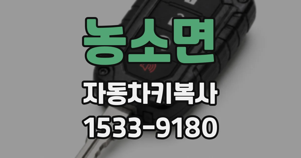 농소면 자동차키복사