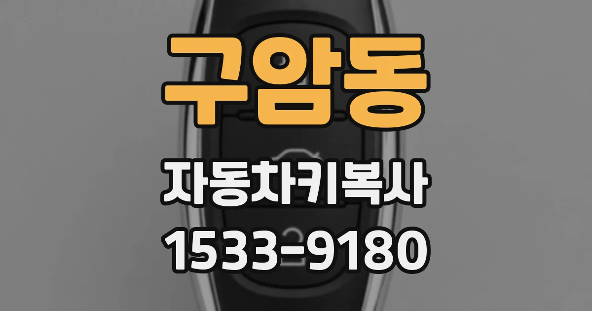 구암동 자동차키복사