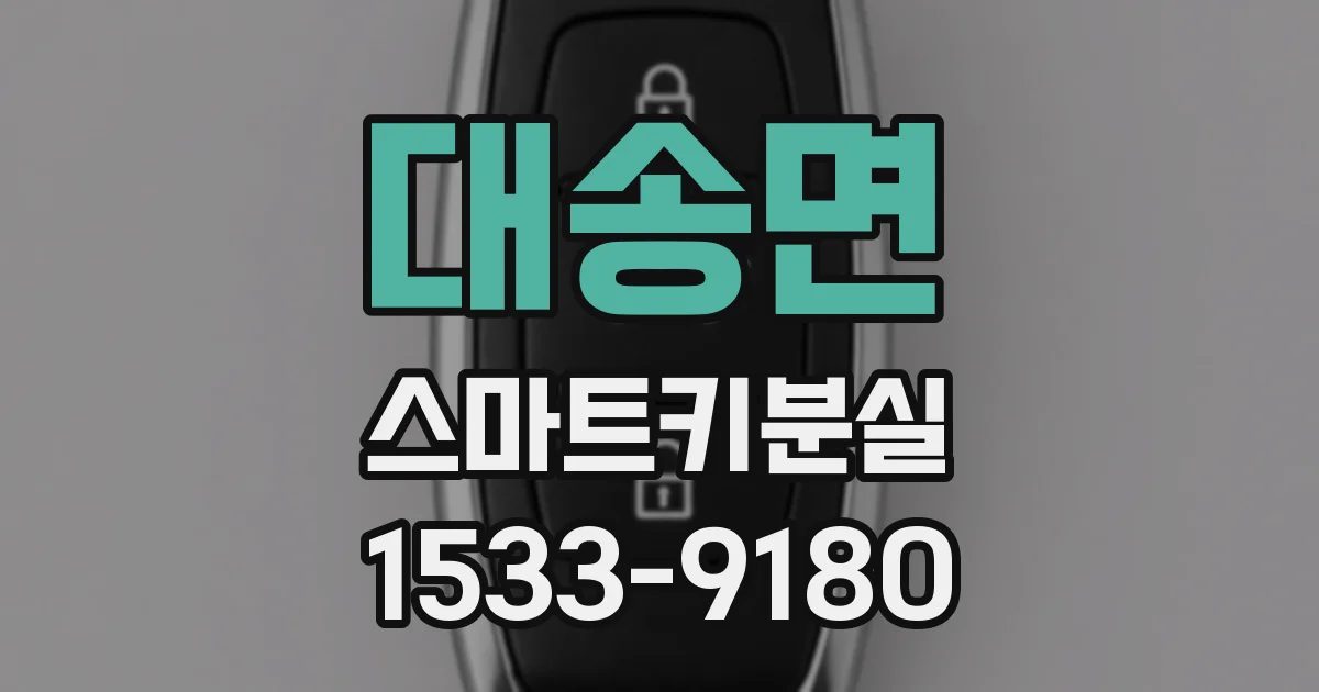 대송면 스마트키분실