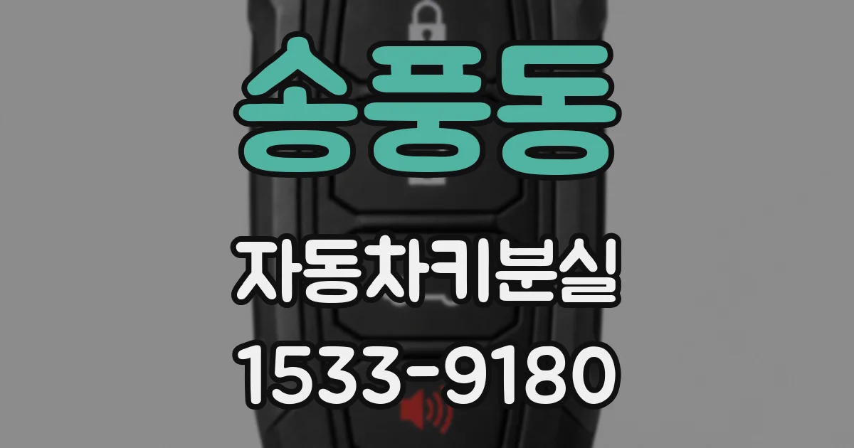 송풍동 자동차키분실