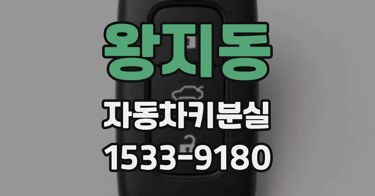 왕지동 자동차키분실