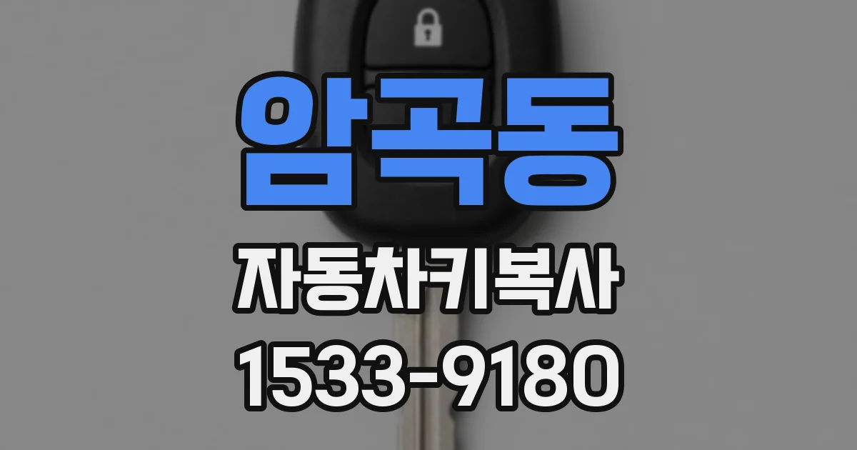 암곡동 자동차키복사