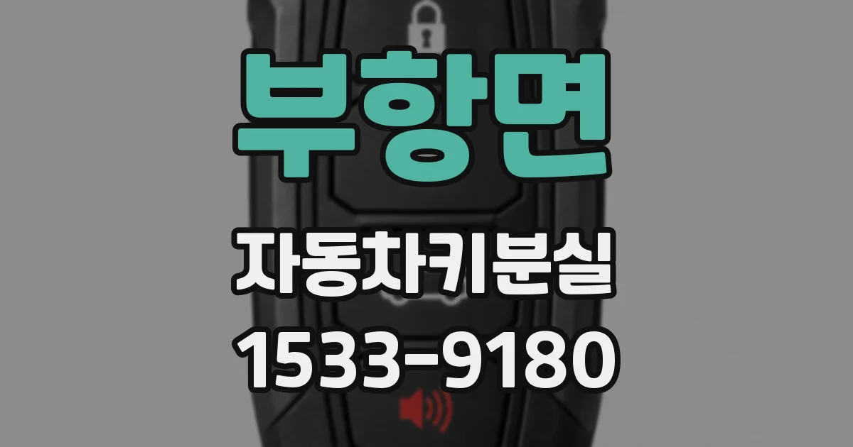 부항면 자동차키분실