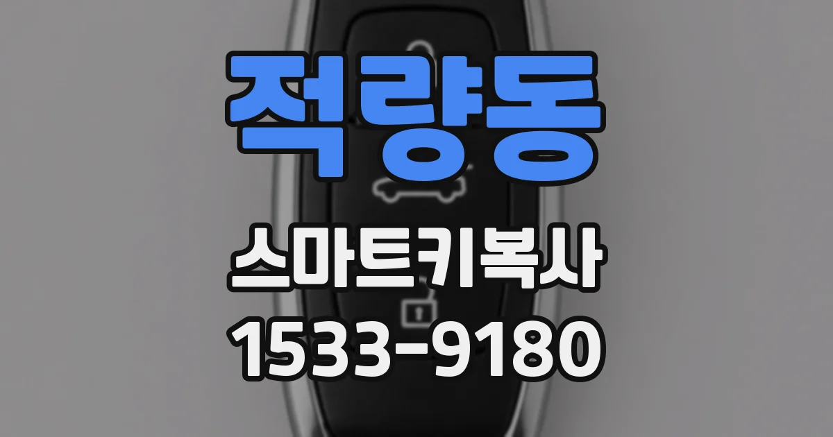 적량동 스마트키복사