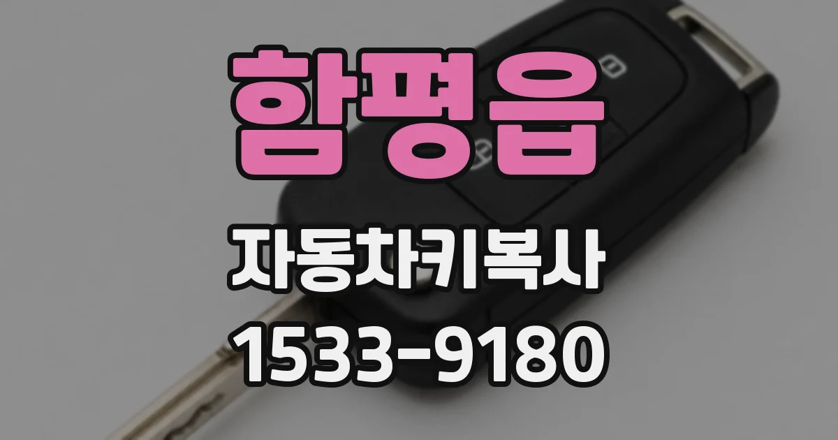 함평읍 자동차키복사