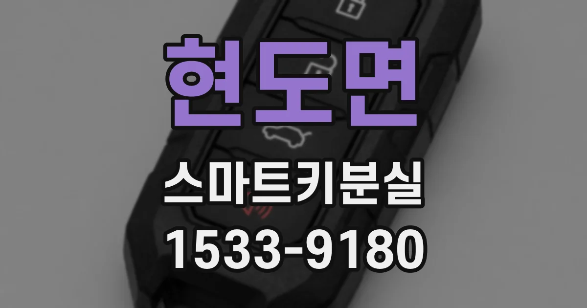 현도면 스마트키분실