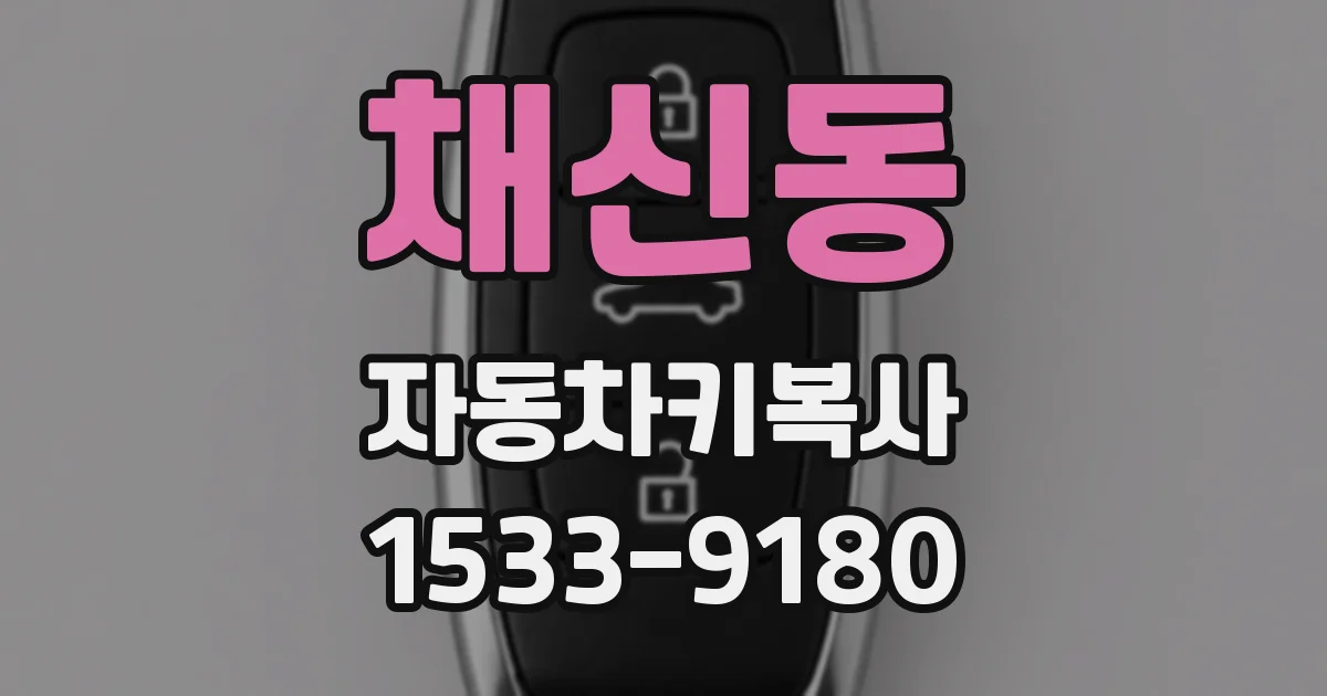 채신동 자동차키복사