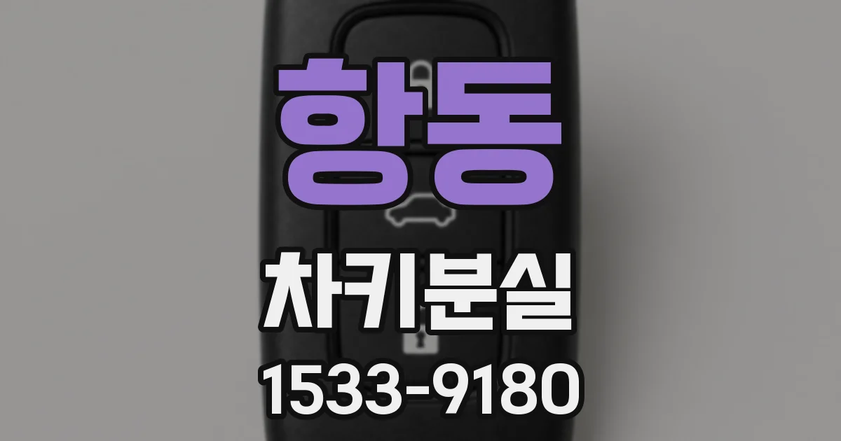 항동 차키분실