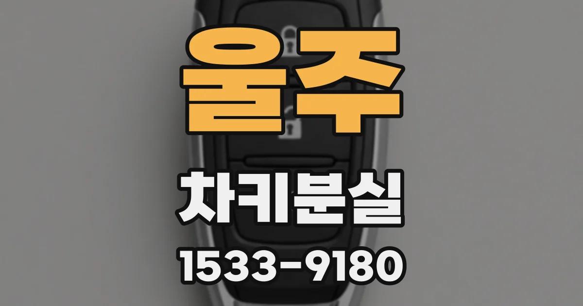 울주 차키분실