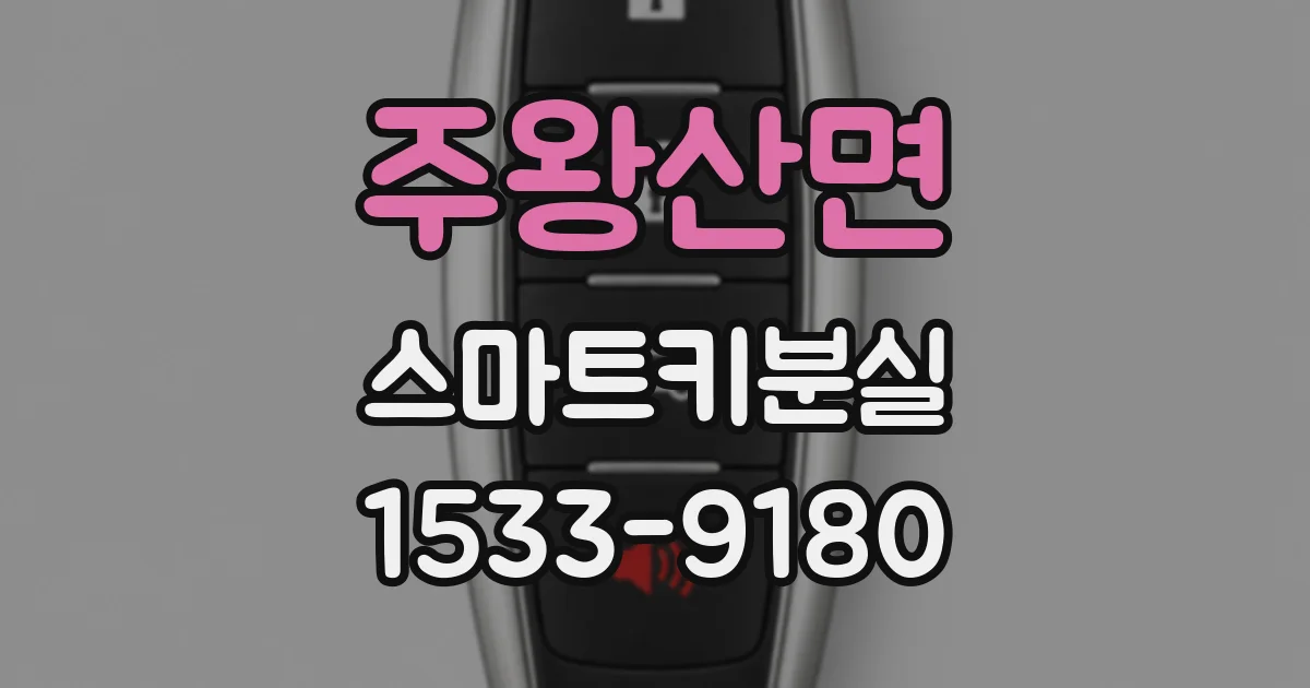 주왕산면 스마트키분실