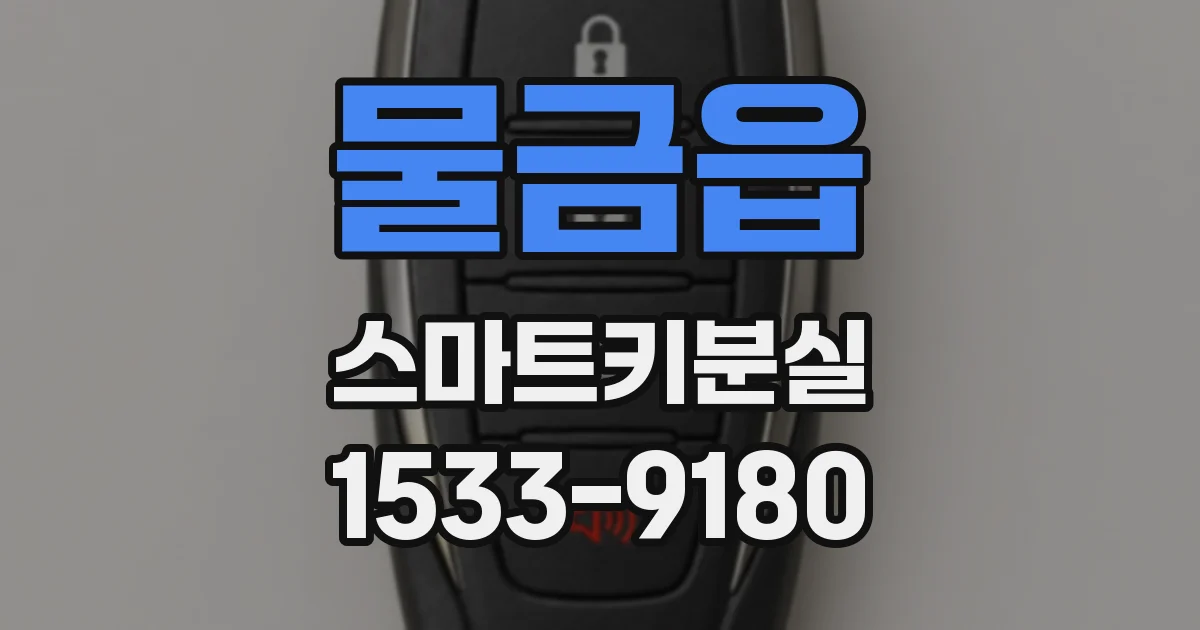물금읍 스마트키분실