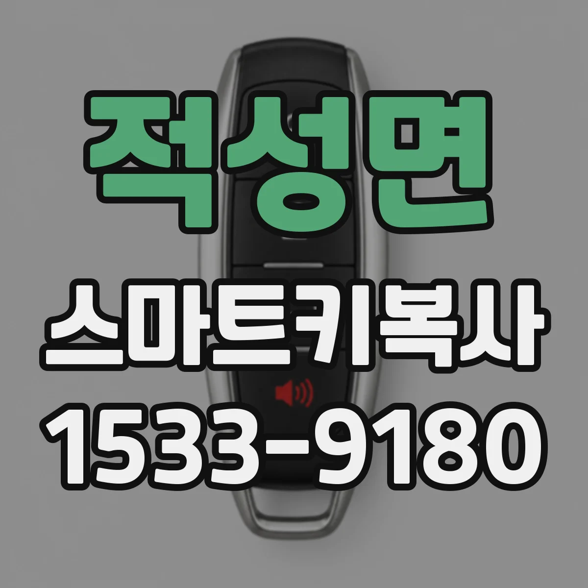 적성면 스마트키복사