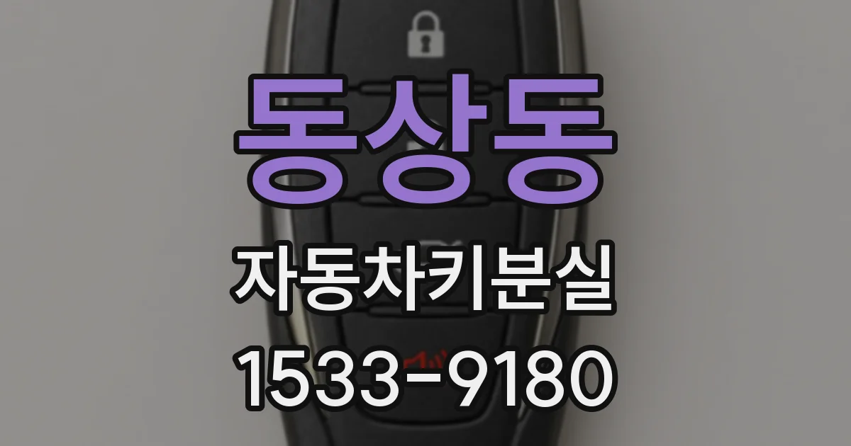 동상동 자동차키분실