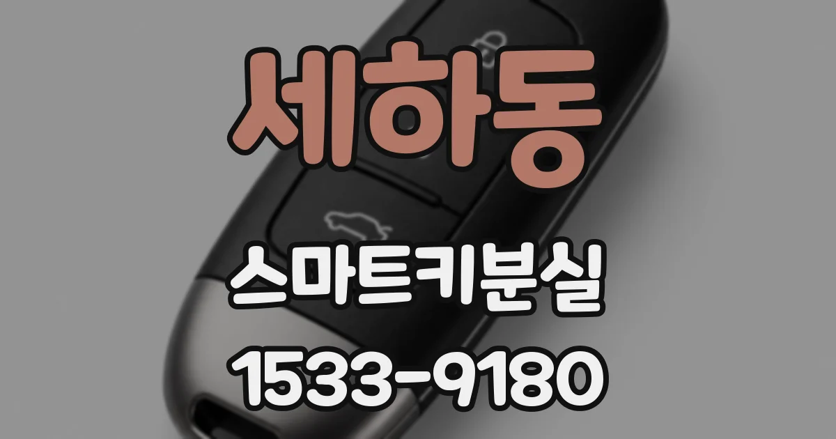 세하동 스마트키분실