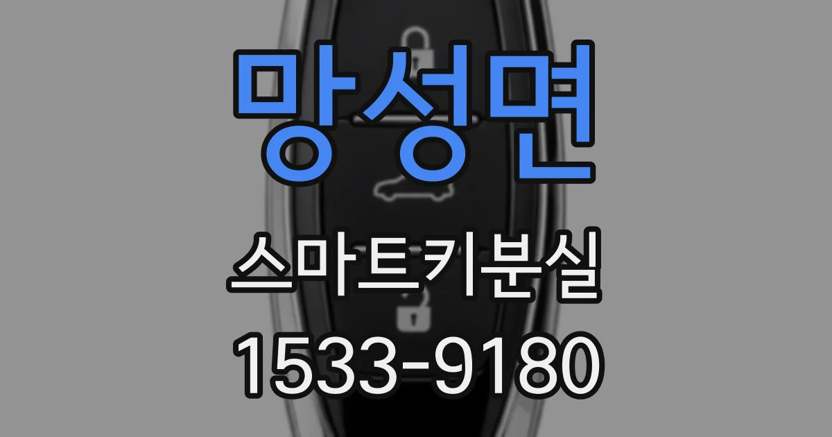 망성면 스마트키분실