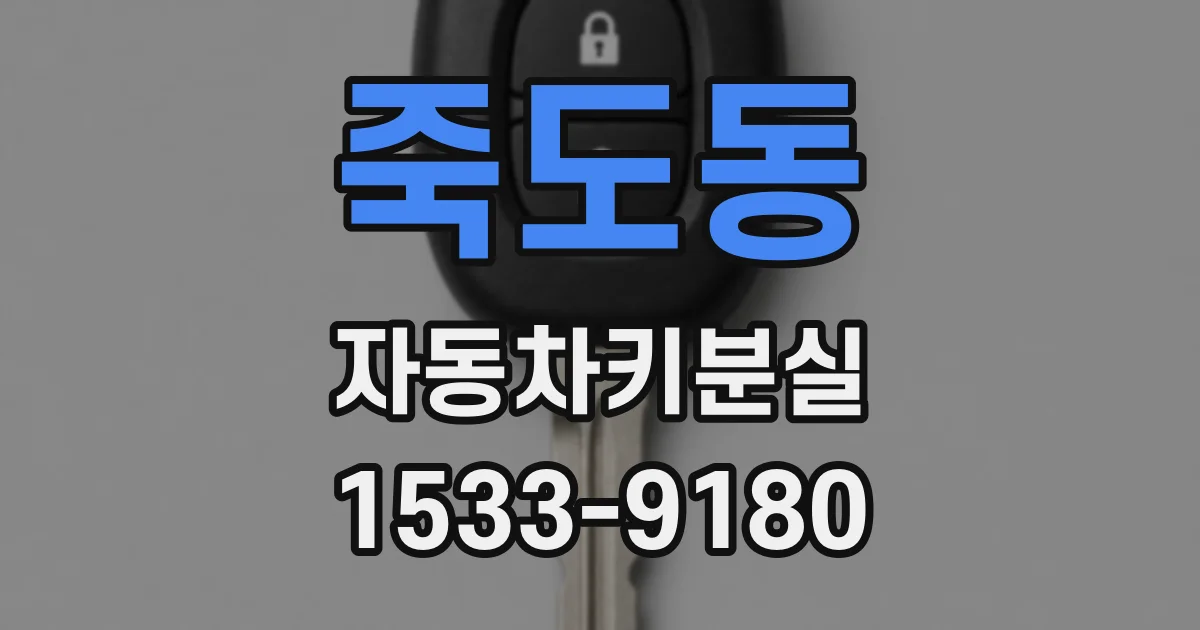 죽도동 자동차키분실