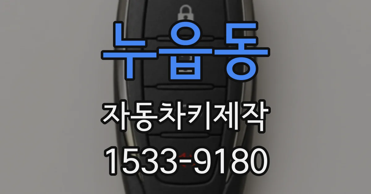 누읍동 자동차키제작