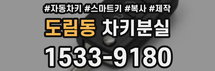 도림동 차키분실