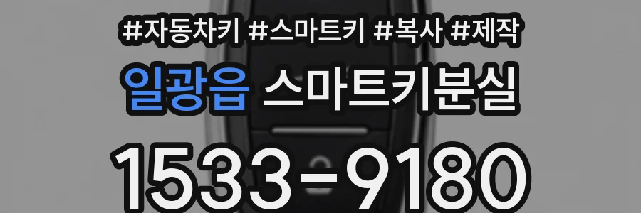 일광읍 스마트키분실